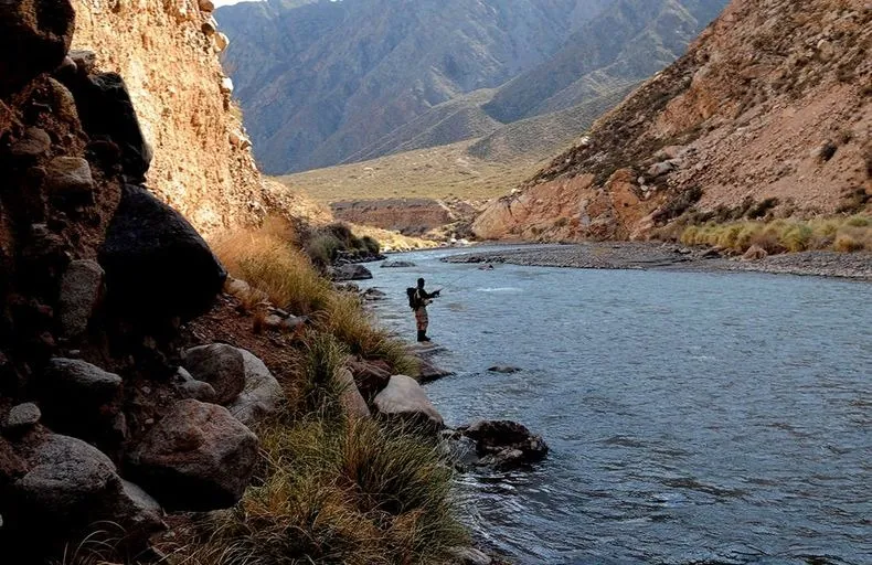 El gobierno provincial otorgó nueve permisos de perforación en la Subcuenca El Carrizal, zona declarada restringida por su vulnerabilidad hídrica y afectada por pasivos ambientales. Los pozos fueron adjudicados a empresas vinculadas con grandes intereses económicos, como Cresud (Eduardo Elsztain), Chimpay La Rioja (propiedad de la china Young Woo) y otros emprendimientos agrícolas e inmobiliarios. En una provincia con clima árido y semiárido, el acceso al agua es un recurso estratégico. Históricamente, las comunidades dependieron del deshielo cordillerano y sistemas ancestrales de riego. Hoy, sin embargo, se profundiza una crisis que pone en riesgo tanto a los ecosistemas como a las poblaciones locales que dependen del agua subterránea. Organizaciones sociales denuncian una sobreexplotación de los acuíferos, especialmente en zonas como Luján de Cuyo. Marcelo Giraud, referente de las Asambleas por el Agua de Mendoza, advierte que "la perforación de pozos profundos con gran capacidad de extracción está agotando recursos hídricos esenciales". El Departamento General de Irrigación (DGI), encargado de administrar el recurso, modificó su composición política: todos los miembros del Tribunal Administrativo responden actualmente al gobernador radical Alfredo Cornejo, lo que genera dudas sobre la imparcialidad en la gestión del agua. La autorización de extracciones en zonas críticas no solo incrementa el valor inmobiliario e industrial de las tierras, sino que afecta a comunidades ya golpeadas por la escasez de agua. Este contexto se agrava con el impulso del Proyecto Minero San Jorge, promovido por el holding suizo Solway, empresa con antecedentes internacionales de contaminación y conflictos sociales. A menos de un mes de la audiencia pública del proyecto, un informe técnico del geólogo José María Cortés —investigador del CONICET— cuestionó "errores graves" en los estudios hidrogeológicos presentados por la empresa. Su análisis indica que las subcuencas afectadas están interconectadas, lo que implicaría que una posible contaminación podría alcanzar el río Mendoza, principal fuente de agua superficial de la provincia. El documento desmonta varios supuestos del Estudio de Impacto Ambiental oficial, entre ellos mapas con divisorias inexistentes, delimitaciones arbitrarias y el uso incorrecto de métodos electromagnéticos. Cortés también critica el modelo hidrogeológico propuesto por la Universidad Nacional de San Luis (UNSL), al que acusa de inconsistencias metodológicas. Además, refuta la afirmación de que las cuencas de Yalguaraz y Uspallata están desconectadas, mostrando evidencia de fallas geológicas que permiten la circulación de fluidos entre ambas. El informe concluye que el impacto del proyecto podría llegar al río Mendoza, afectando a miles de personas. Por eso, llama a una evaluación independiente y multidisciplinaria antes de avanzar con el proyecto. Frente a la audiencia oficial convocada en un lugar remoto y de difícil acceso, organizaciones locales realizarán una audiencia alternativa en Uspallata, reclamando participación real en decisiones que afectan su futuro. Temas en esta nota