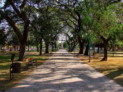Domingo soleado en Resistencia: la máxima alcanzará los 25°