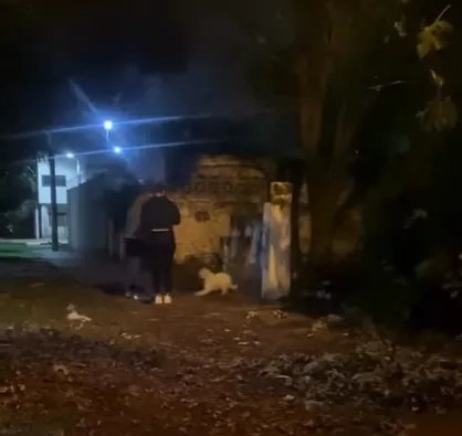 Denunciaron a una pareja por golpear a un perro en la calle