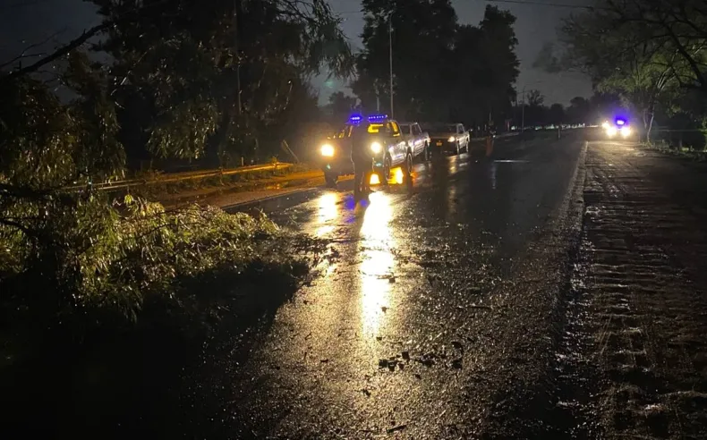 Temporal con lluvias intensas, destrozos y un herido en Charata