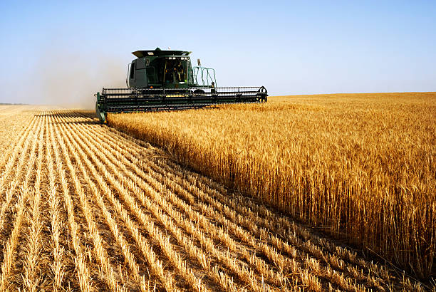 Fin anticipado de la quita de retenciones: el agro completó el cupo de u$s7.000 millones