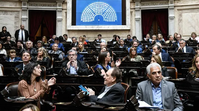 Diputados oficializaron convocatoria contra los vetos de Javier Milei a universidades y salud pediátrica