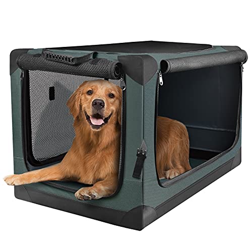 Permiten llevar mascotas en trenes y colectivos de larga distancia