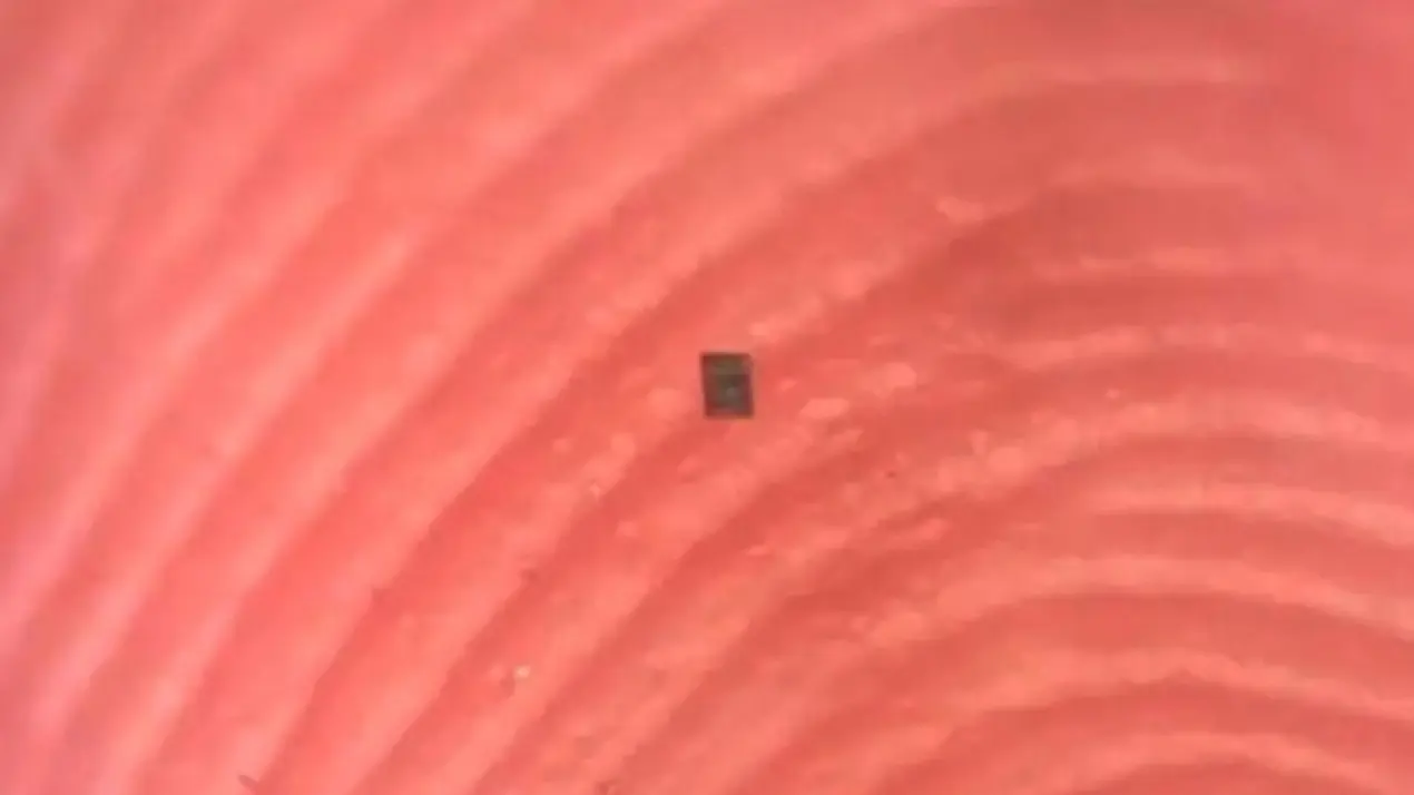 El robot más chico del mundo  que puede revolucionar la medicina